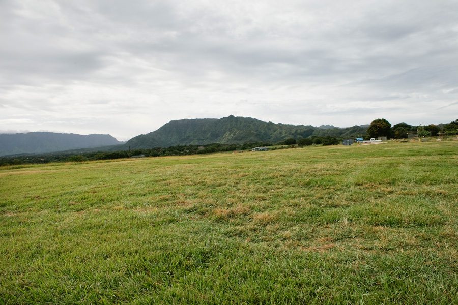 kauai wedding photographer 18